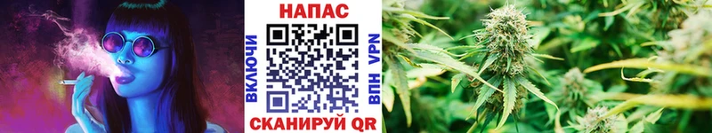 Наркотические вещества Дегтярск A PVP  Галлюциногенные грибы  Канабис 