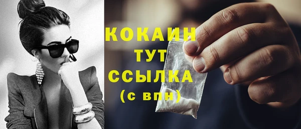стаф Богданович