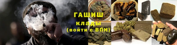 стаф Богданович