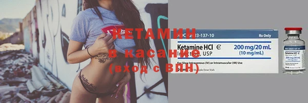 стаф Богданович