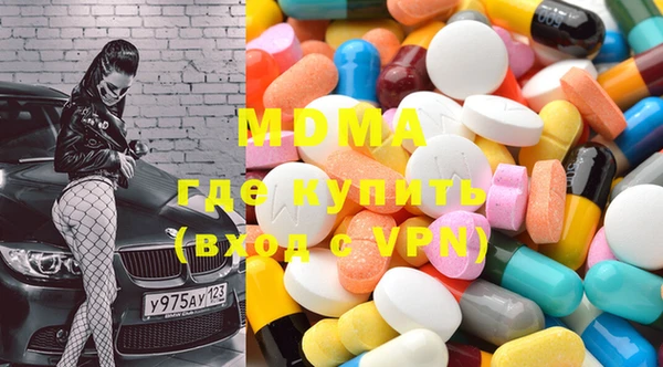 стаф Богданович
