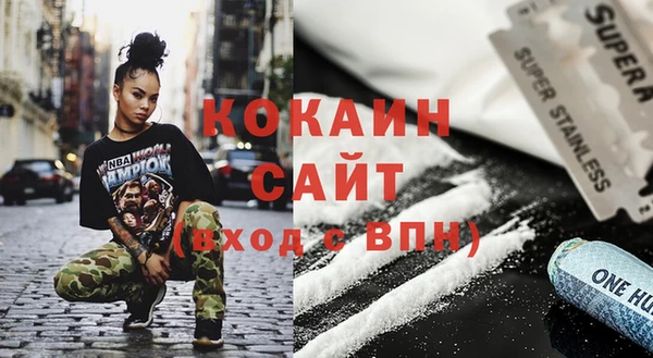 мдпв Богородицк