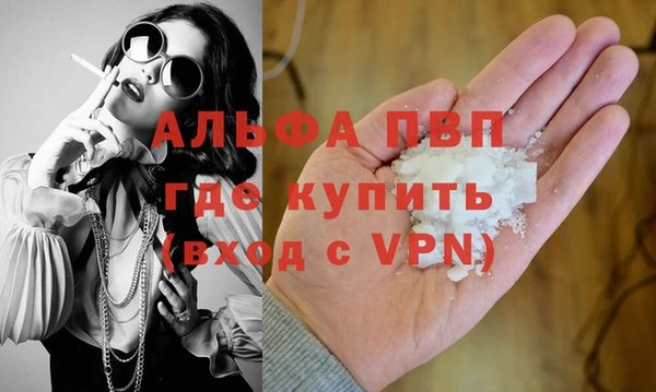 стаф Богданович
