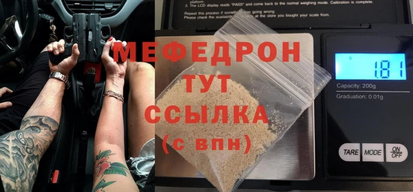 стаф Богданович