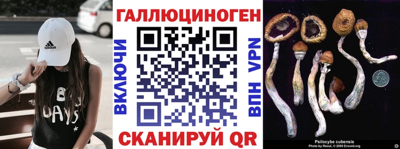 Псилоцибиновые грибы Cubensis  Дегтярск 